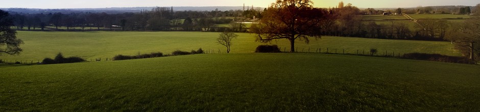 A photo of some fields